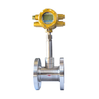 vortex Flow Meter